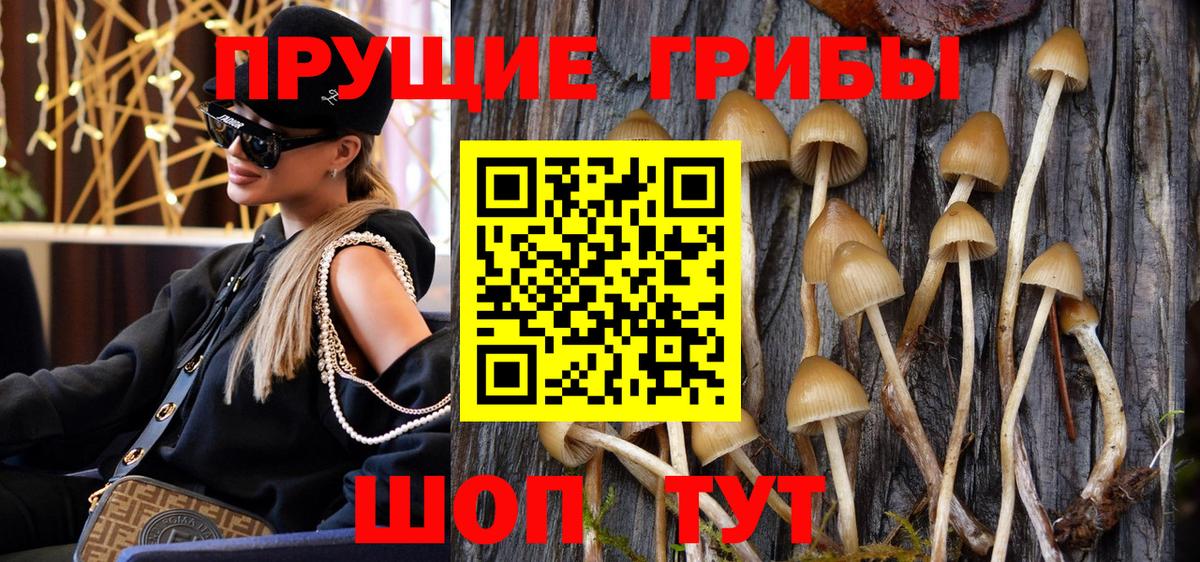 Псилоцибиновые грибы ЛСД  закладка  Новошахтинск  Вход с VPN 